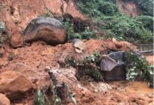 自駕遊遭遇泥石流，領克01使出“洪荒之力”保車主渡劫成功-頭條楓林網