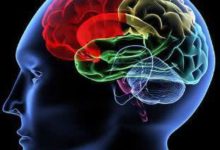 我們的意識是如何產生的？讓腦電圖給你答案-頭條楓林網