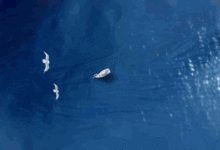 海瀾之家用「布料」拍了部大片？這導演愛的演員都很奇怪！-頭條楓林網