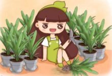 君子蘭鐵線蓮…這麼貴你還買？ 隨手掰一下，立馬1盆變10盆！-頭條楓林網