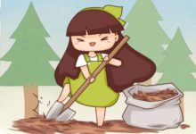 養花就選這種土，不爛根不黃葉，夏天也能蹭蹭爆盆！-頭條楓林網