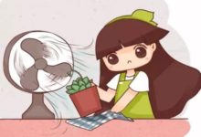 多肉盆底墊了它，天再熱也不怕死，越養越爆盆！-頭條楓林網