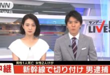 日本新幹線發生一起無差別殺人案，男子為救女乘客擋刀犧牲…-頭條楓林網