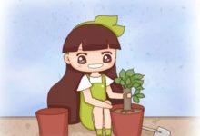 這個東西家家都有，扔盆里花蹭蹭長，一個夏天就爆盆！-頭條楓林網