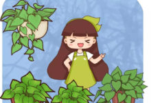 她家的花，從一小撮到開爆盆，2個月就做到了！-頭條楓林網