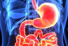 研究：人體腸道內存在“第二大腦”-頭條楓林網