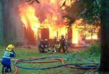 不用懷疑我最酷-頭條楓林網