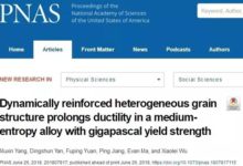 一種新強韌化策略：1.2GPa屈服強度，25%塑性！-頭條楓林網