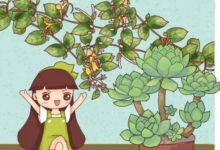 梔子月季…喝口酸甜水，砰砰冒花苞，比打雞血還管用！-頭條楓林網