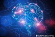 重力不存在，宇宙只是全息投影，一切都是大腦的騙局？-頭條楓林網