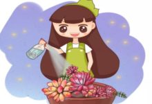 多肉養成葡萄串，葉子亮晶晶，鄰居看了都羨慕！-頭條楓林網