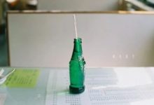 第一眼看到什麼動物，你就是什麼樣的人！-頭條楓林網