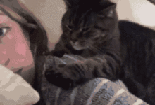 在經過內心苦苦掙扎後，喵星人決定饒鏟屎官不死-頭條楓林網