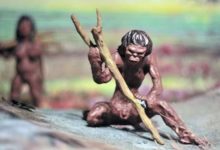 人類並非地球統治者，外星人如果通過火山口進入地球，地球將易主？-頭條楓林網