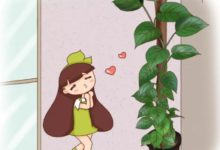 綠蘿茉莉...夏天這麼養，跟打激素一樣瘋長不停！-頭條楓林網