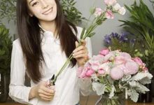 《一千零一夜》今日開播 迪麗熱巴變身迷妹看點多-頭條楓林網