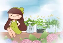 全小區都用它養花，1月不管，竟然滿陽台瘋長！-頭條楓林網