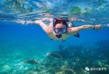 這個民族是人魚近親嗎？居然可以在海底隨意行走！-頭條楓林網