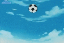 島國小哥哥將妹妹的骨灰守在身邊，發誓加入日本國家隊，每天清晨5點起床練球…-頭條楓林網