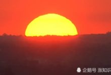 它是這個「太陽系帝國」的主宰，這裡所有的存在都受它的「恩澤」-頭條楓林網