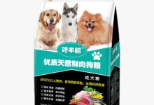 泰迪犬能活多久？5個小妙招，延長壽命！-頭條楓林網