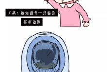 真羨慕你們上班可以吸貓擼狗-頭條楓林網