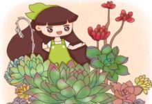 她家的多肉瀑布，1年垂下2層樓，鄰居窗簾都省了！-頭條楓林網