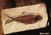 中科院發掘的「龍王井」有突破性發現，應好好保護這些考古點-頭條楓林網