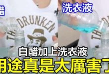 白醋加上洗衣液，用途真是太厲害了-頭條楓林網