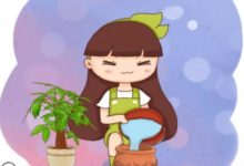 養花還用懶人盆？ 怪不得花養不活，全被漲死了！-頭條楓林網