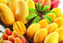 這種芒果千萬不要買，小心被不良商家坑了！-頭條楓林網