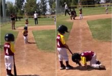 男童怒甩爸手，搞笑天才啊-頭條楓林網