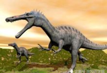 隕石撞擊假說被推翻？恐龍到底是因為什麼滅絕的呢？-頭條楓林網