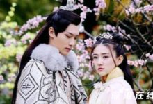 雙世寵妃2什麼時候播出?一周更新幾集?-頭條楓林網