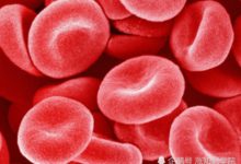 細胞分化是100％好事嗎？「叛逆」的體細胞會帶來大問題-頭條楓林網