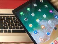 大學狗的日常 篇一：Ipad pro對於大學生來講有用嗎？-頭條楓林網