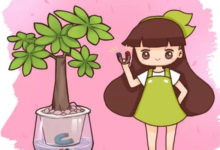 水里丟點它，根比蘿蔔還粗，黃葉全沒了！-頭條楓林網