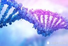 你我存在於地球上的機會本是無比渺茫，是誰讓這一切成為現實？-頭條楓林網