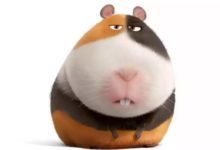 家裡的這位摳腳大漢，原來是外糙里不糙-頭條楓林網