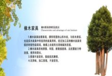 紅橡木家具價格是多少 哪個品牌的橡木家具好-頭條楓林網