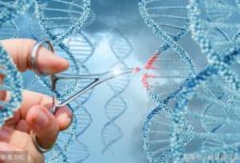 歐洲法院：基因編輯=轉基因-頭條楓林網