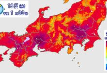 日本高溫多嚴重？非洲人到了這裡大喊「熱死！被晒黑了！」-頭條楓林網