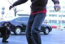 論玩滑板，你可能連狗都不如~-頭條楓林網