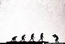 准媽媽的「痛苦」和新生兒的腦容量——自然進化的矛盾和平衡-頭條楓林網