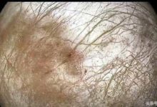 科學家在太陽系發現一個類似地球的迴圈系統，那裡或已孕育生命-頭條楓林網