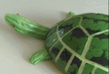 圖：機場偶遇可愛的一家三口，吃了一嘴狗糧-頭條楓林網