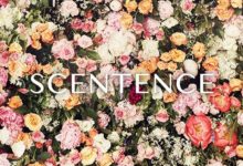 韓國新世界自然主義化妝品：詩媞瑟-頭條楓林網