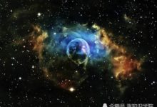 20隻小老鼠已到達空間站，宇航員淪為老鼠們的保姆-頭條楓林網