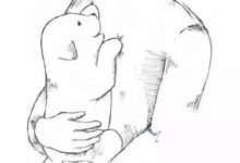 被安樂死的狗狗-頭條楓林網