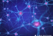 整個宇宙僅僅只是一個生物中的一個細胞？顯微鏡打開新世界-頭條楓林網